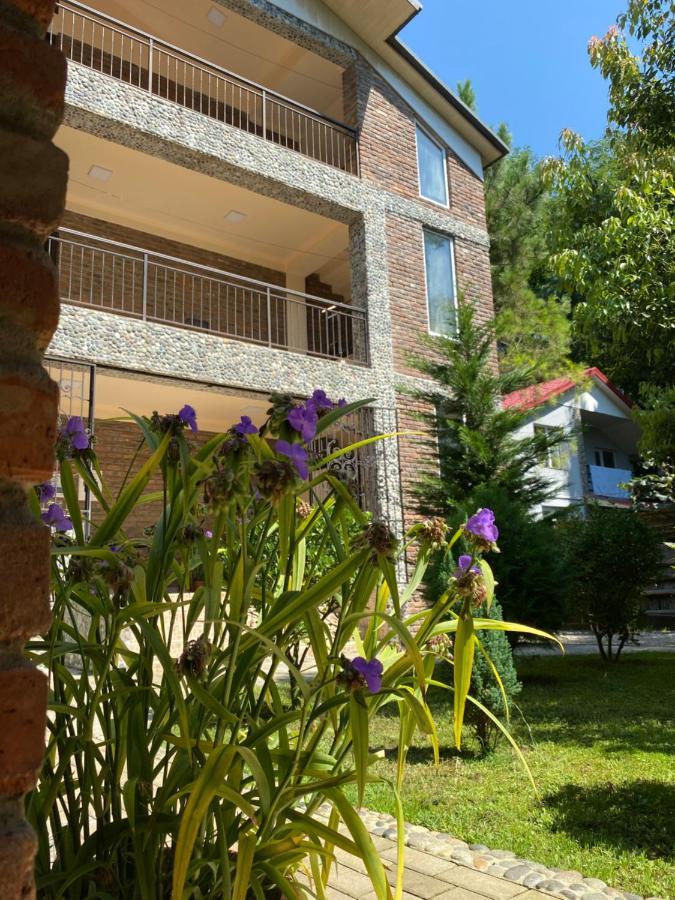 Guest House Shekvetili מראה חיצוני תמונה