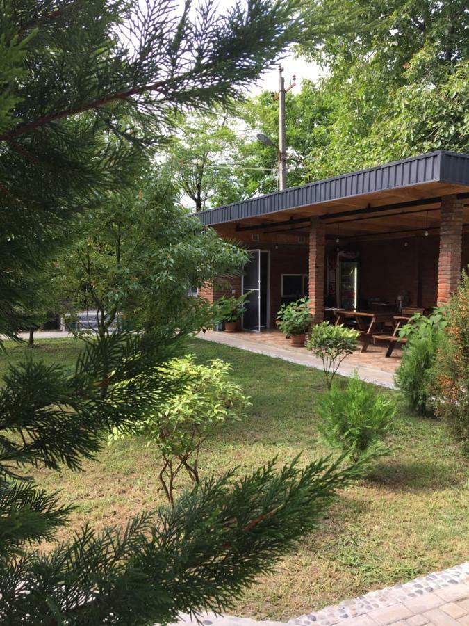 Guest House Shekvetili מראה חיצוני תמונה