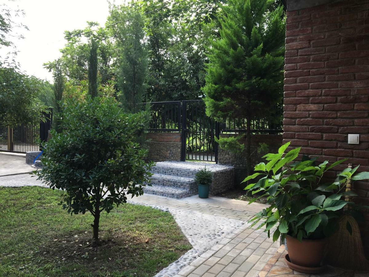 Guest House Shekvetili מראה חיצוני תמונה