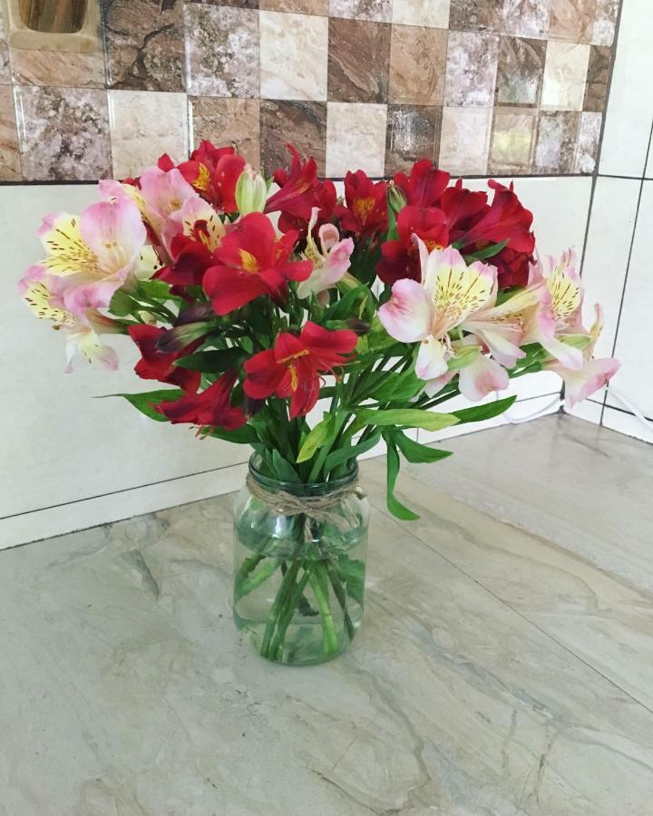 Guest House Shekvetili מראה חיצוני תמונה